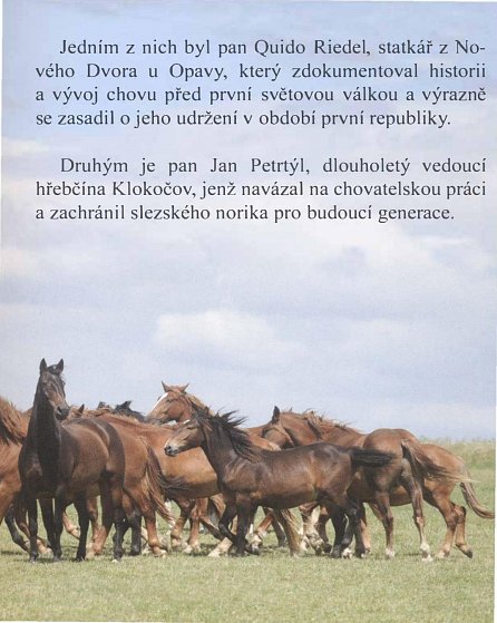 Náhled Slezský norický kůň - Chov ve Slezsku a na Františkově Dvoře v Klokočově