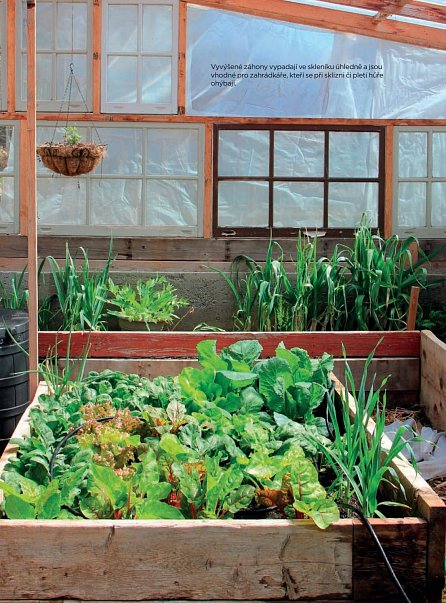 Náhled Pěstování ve skleníku