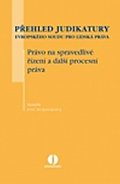 Přehled judikatury Evropského soudu pro lidská práva. Řízení před Evropským soudem pro lidská práva. Formální náležitosti podání