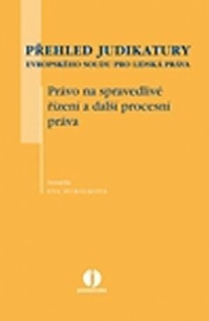 Přehled judikatury Evropského soudu pro lidská práva. Řízení před Evropským soudem pro lidská práva. Formální náležitosti podání