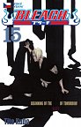 Bleach 15: Beginning of death tomorrow