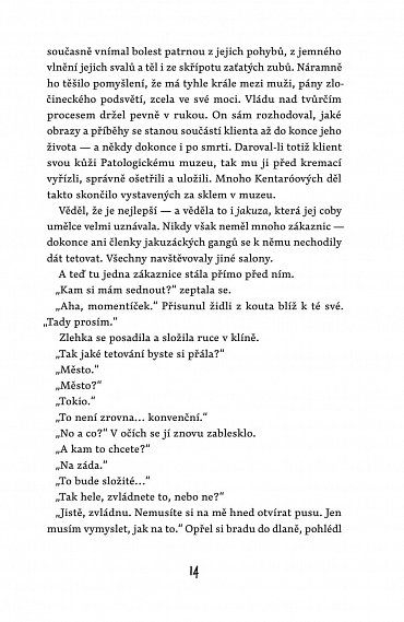 Náhled Kočka a město