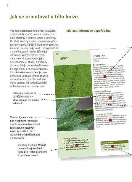 Náhled Škůdci a choroby rostlin – obrazový atlas
