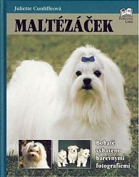 Maltézáček