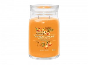 YANKEE CANDLE Farm Fresh Peach svíčka 567g / 2 knoty (Signature velký)