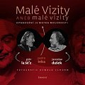 Malé vizity aneb malé vizity - Opakování je matka moudrosti