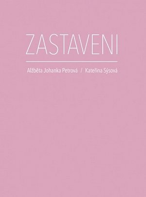 Zastaveni