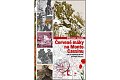 Červené máky na Monte Cassinu - Byl to Verdun druhé světové války?)