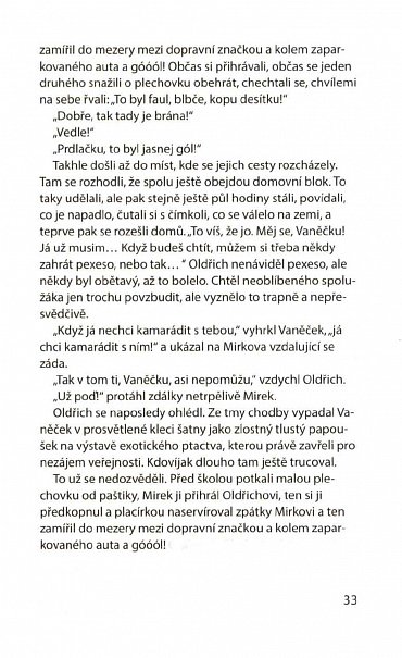 Náhled Čéťové a zloději