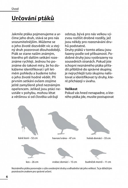 Náhled Ptáci - Rozpoznejte snadno 100 druhů