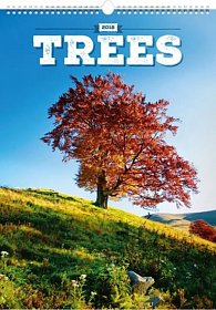Kalendář nástěnný 2018 - Stromy