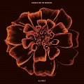 All Souls - LP