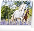 Kalendář 2025 stolní: Poezie koní, 16,5 × 13 cm