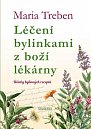 Léčení bylinkami z boží lékárny. Účinky bylinných receptů