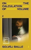 On the Calculation of Volume I