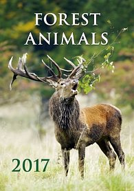 Kalendář nástěnný 2017 - Forest Animals