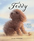 Teddy - Příběh o hledání domova