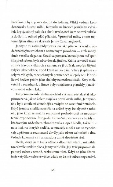 Náhled Případ ukradeného zubu