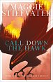 Call Down the Hawk (The Dreamer Trilogy #1)