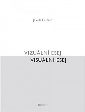 Vizuální esej / Visuální esej