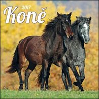 Koně 2017 - nástěnný kalendář
