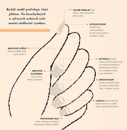 Náhled Cool nehty - Fantastické nápady, jak si stylově ozdobit nehty