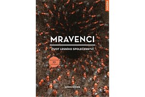 Mravenci - Život lesního společenství