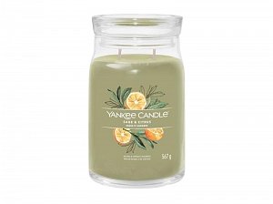 YANKEE CANDLE Sage & Citrus svíčka 567g / 2 knoty (Signature velký)