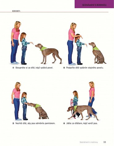 Náhled 101 tipů jak vychovat poslušného a spokojeného psa