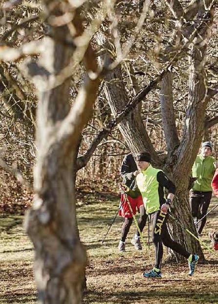 Náhled Nordic Running - Běh s holemi jako zdravější a efektivnější způsob běhání