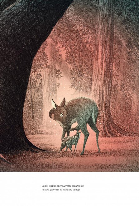 Náhled Bambi aneb Příběh z lesů