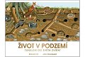 Život v podzemí - Tunelem do světa zvířat