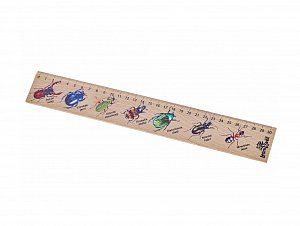 Dřevěné pravítko 30 cm - Brouci