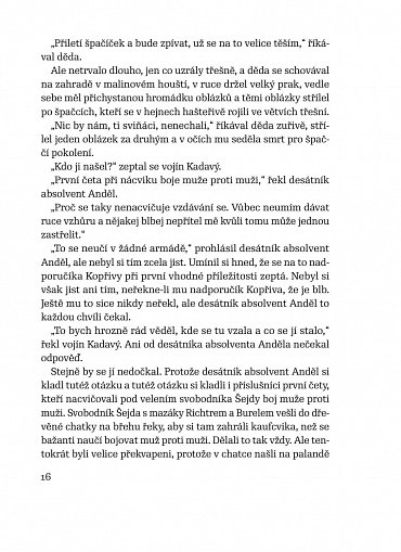 Náhled Stín, 1.  vydání