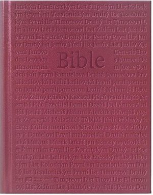 Bible (růžová)