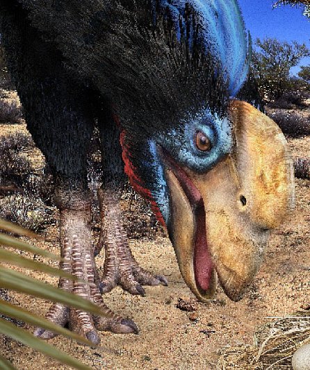 Náhled Dinosauři v kostce - Více než 60 prehistorických tvorů tak, jak jste je dosud nikdy neviděli