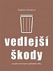 Vedlejší škody - Sociální nerovnosti v globálním věku