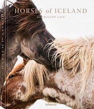 Horses of Iceland