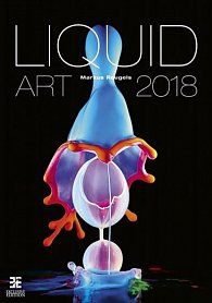Kalendář nástěnný 2018 - Liquid Art/Exclusive