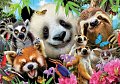 Puzzle Selfie černookých kamarádů 300 dílků