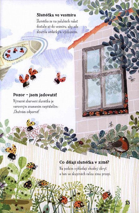 Náhled Velká kniha drobné havěti - Brouci, mouchy, žížaly a jiné potvůrky