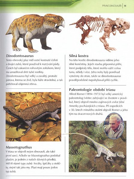 Náhled Dinosauři - Encyklopedie