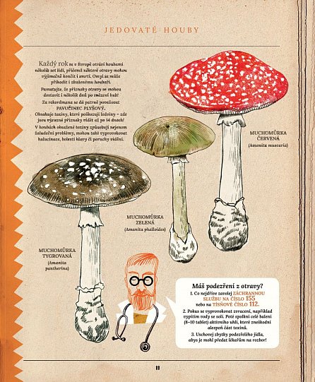 Náhled Houby - Podivuhodné skutečnosti ze života hub, o kterých jste neměli tušení