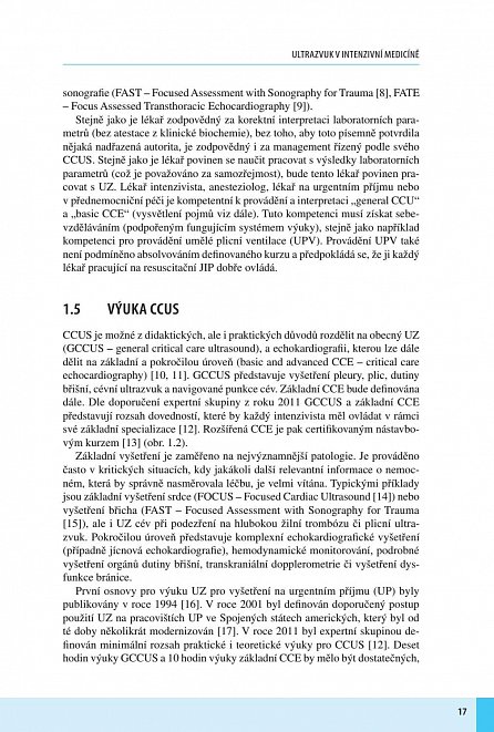 Náhled Ultrasonografie v intenzivní a urgentní medicíně
