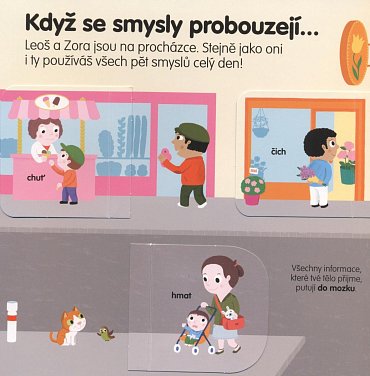 Náhled Minipedie 4+ Pět smyslů