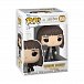 Funko POP Movies: Harry Potter - Hermiona Chamber of Secrets Anniversary