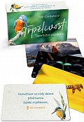 Trpělivost - Tajemství úspěchu - karty