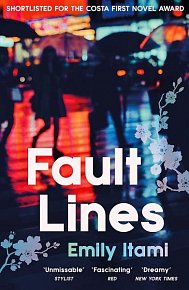 Fault Lines: A Novel