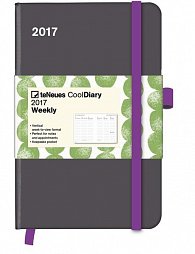 Diář Cool Diary Grey/Stones Green 2017 WEEKLY (9 x 14 cm)