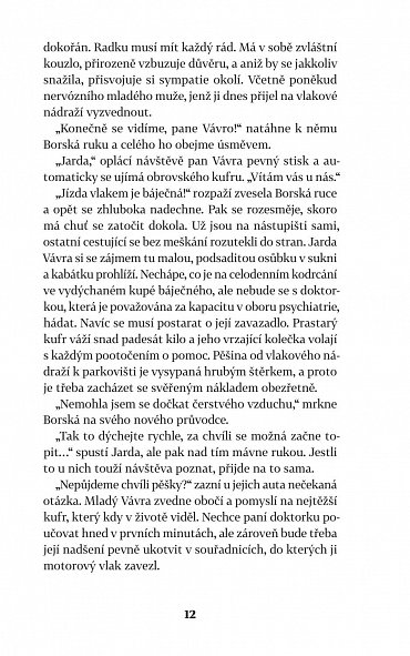 Náhled Před povodní